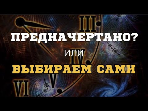 Видео: Сценарий написан? О природе человеческого выбора
