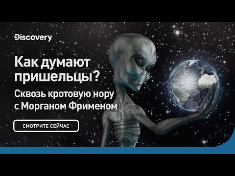 Видео: Как думают пришельцы? | Сквозь кротовую нору с Морганом Фрименом | Discovery