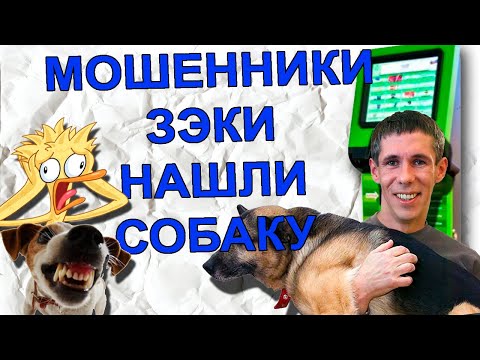 Видео: Мошенник угрожает не вернуть собаку. Мошенники на olx. Развод по телефону