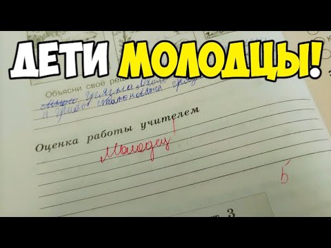 Видео: Проверяю проверочные работы по окружающему миру - 3 класс