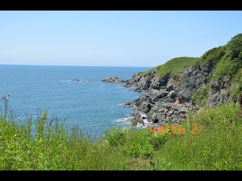 Видео: часть 2 путешествие к японскому морю Владивосток купили холодильник пробуем креветку батан