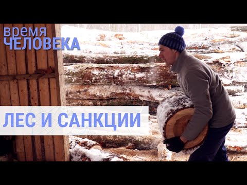 Видео: Семья лесорубов | ВРЕМЯ ЧЕЛОВЕКА