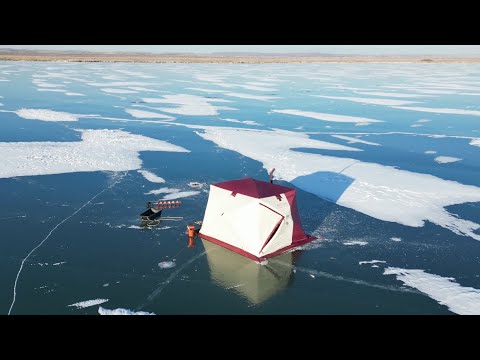 Видео: Канал им. Сатпаева рыбалка на безмотылку 30.11.24