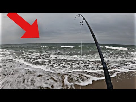 Видео: Неожиданный улов на побережье Джерси!