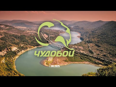 Видео: Чудобой Хоби 2025 | Chudoboi Hobby 2025