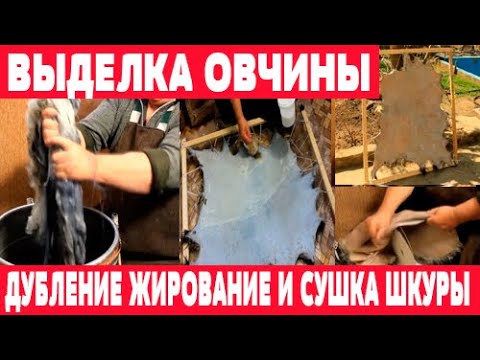 Видео: Дубление, жирование, сушка и разминание шкуры  Выделка овчины. Часть 4