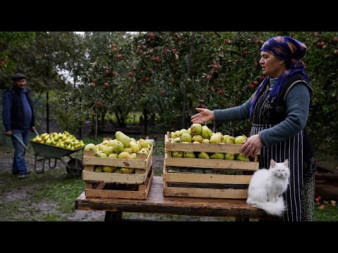 Видео: 🍐 Сбор Груш и Консервация на Зиму: Деревенский Кулинарный Влог 🍯🌿