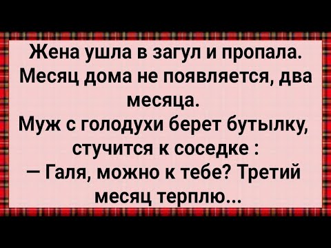 Видео: Жена Ушла в Загул! Сборник Свежих анекдотов! Юмор!