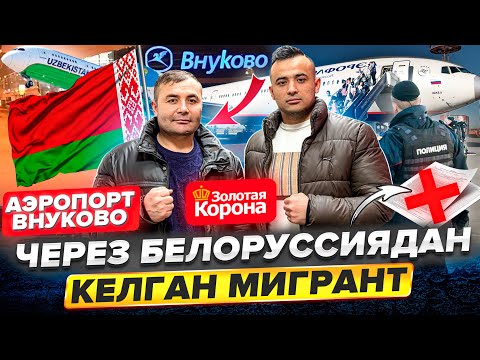Видео: 🚨АЭРОПОРТ ВНУКОВО😳ЧЕРЕЗ БЕЛОРУССИЯ🚨КЕЛГАН МЕГРАНТ НИМА БУЛЛИ😡#bilet#automobile#аэропорт#reels#рек￼