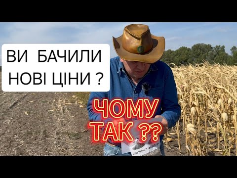 Видео: НОВІ ЦІНИ НА СЕЗОН 2025-2026 ДЛЯ ФЕРМЕРА, ТАК ЧОМУ ТОДІ КУПЛЯЮТЬ ДЕШЕВО ?