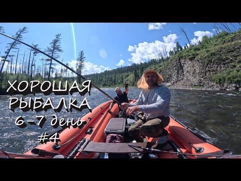 Видео: ХАРИУС КЛЮЁТ ВЧЕРА, СЕГОДНЯ И ЗАВТРА | ВДВОЁМ НА СТАНЕ