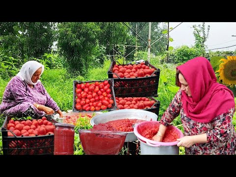 Видео: От свежих помидоров к пасте: простой рецепт пасты из свежих томатов