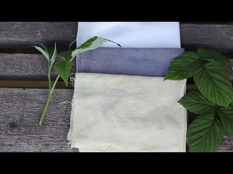 Видео: Окрашивание ткани натуральными красителями: Лист малины / Natural Dyes: Raspberry leafs