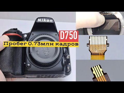 Видео: nikon d750 пробежал 0.73млн кадров, поменял затвор и вперед!