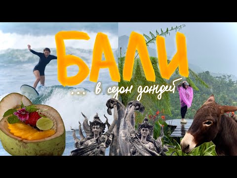 Видео: ВЛОГ БАЛИ: серфинг, север острова и ослы