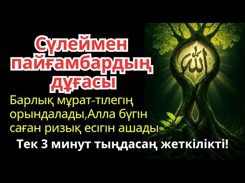 Видео: 🕌⚡ Сүлеймен пайғамбардың дұғасы, барлық арман-мақсаттарың орындалады. | Өміріңді өзгертетін дұға!