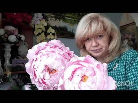 Видео: Пион-светильник 🔮 2 часть  бесплатного мастер-класса пиона "Корал Шарм "🌸