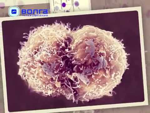 Видео: Заготовка гемопоэтических стволовых клеток