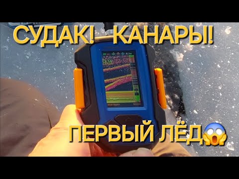 Видео: ВЫШЛИ на ЛЁД! И НАЧАЛИ ЛОВИТЬ! СУДАКИ В ЭХОЛОТЕ ПРАКТИК 8!