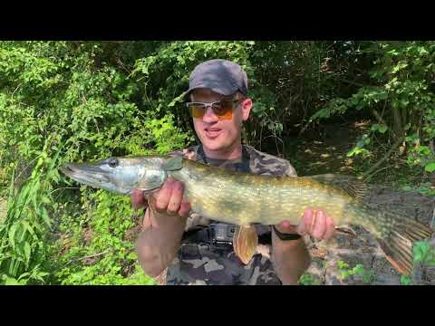 Видео: Прям ооочень успешная #рыбалка на #хищника в #Голландии!