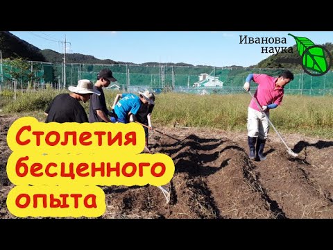 Видео: Корейское натуральное земледелие: столетия бесценного опыта, который надо сохранить и применить.