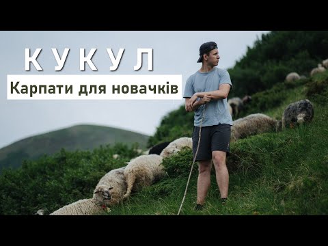 Видео: Кукул | Карпати для початківців | Чорногора