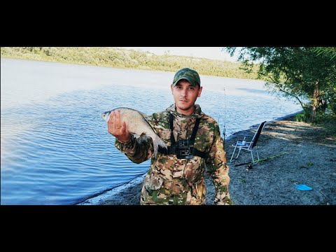 Видео: ЛОВЛЯ ЛЕЩА. РЫБАЛКА НА ПРОТОКЕ ОБИ.