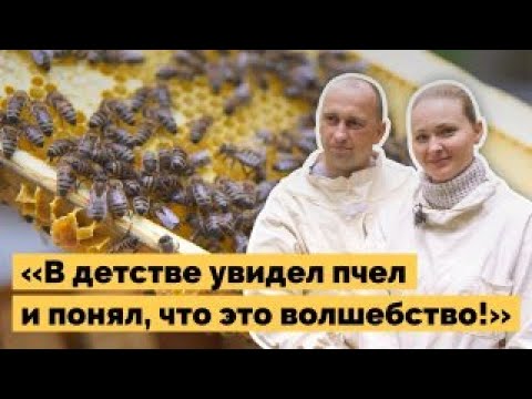 Видео: Семейная пасека | Как живут