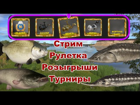 Видео: РР4 В поиске контента !