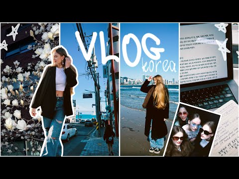 Видео: первая учебная неделя в Корее: начало семестра, пары, сектанты // vlog #учебавкорее #vlog #пусан