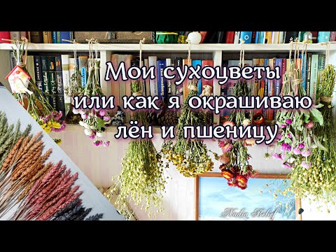 Видео: Мои сухоцветы. Окрашиваю лён и пшеницу.