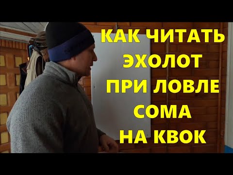 Видео: Как читать эхолот, при ловле сома на квок / #рыбалка #квок #сом #сомнаквок