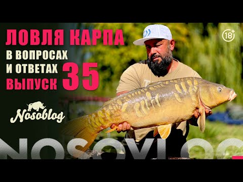 Видео: Карпфишинг в вопросах и ответах, выпуск 35, Колесников А.