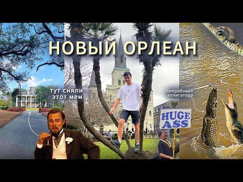 Видео: влог НОВЫЙ ОРЛЕАН - аллигаторы, плантация, эстетика и устрицы