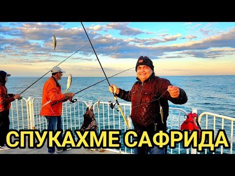Видео: Едър сафрид и Пълни чепарета! Страшен кеф и пълна бака с риба!