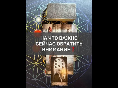 Видео: НА ЧТО ВАЖНО СЕЙЧАС ОБРАТИТЬ ВНИМАНИЕ❓