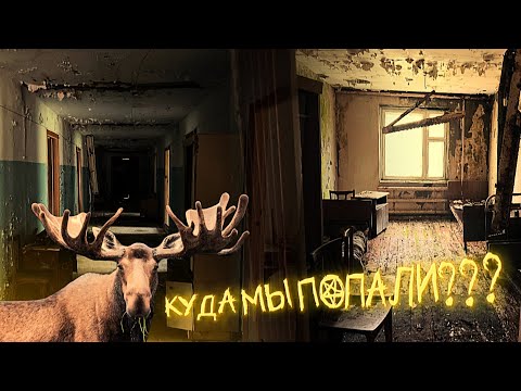 Видео: НАШЛИ ЛОСЯ?! | ЗАЧЕМ МЫ ТУДА ПОШЛИ? 