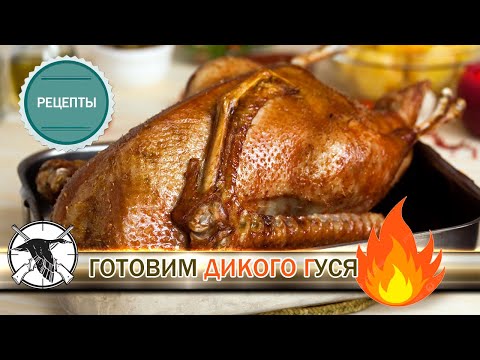 Видео: Готовим дикого гуся. Рецепт По-охотничьи