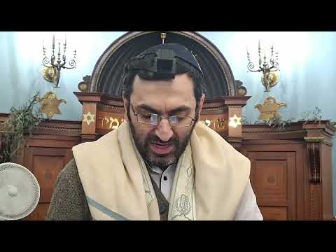 Видео: Хафец Хайм-лашон а ра и рехилут,117 урок.