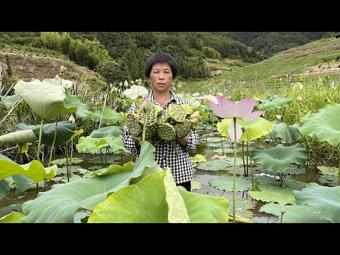 Видео: Дьявольский пряный коньяк сестры Мяо, десятки нитей в большой кастрюле