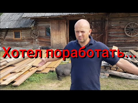 Видео: 2 раза за день изменились планы . В итоге рабочий день превратился в день провизии . Первый урожай