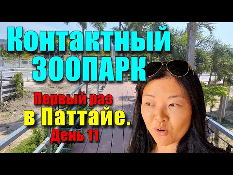 Видео: Никто не знает этот контактный зоопарк в Паттайе. Кормим черепах бананами. Слоны, зебры и капибара