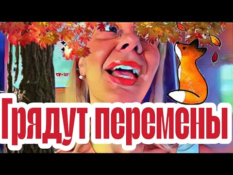 Видео: Диана ВонХ проснулась,а квартиранта нет.Скоро переедет в новую квартирку,а Леха останется в старой.