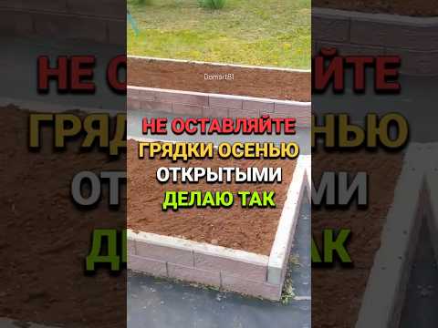 Видео: Не оставляйте грядки на зиму открытыми #сад #огород #дача