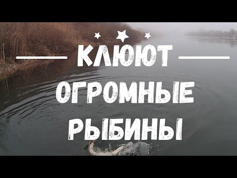 Видео: Весенняя Рыбалка с Лодки на Дону Воблерами | Твичинг в Липецкой области | Ловля Щуки | РЫБАЛКА 2020