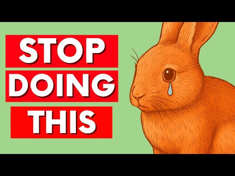 Видео: 13 вещей, которые эмоционально ранят вашего кролика