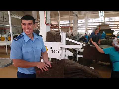 Видео: Кукмара