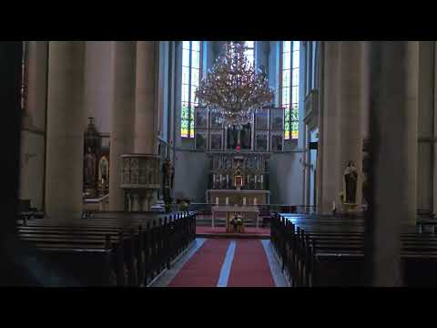 Видео: 2 ноября Прага 