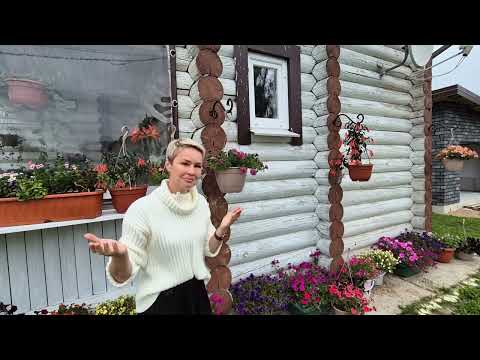 Видео: ПЕТУНИЯ ПОДГОТОВКА ПЕТУНИИ К СОХРАНЕНИЮ В ЗИМУ.