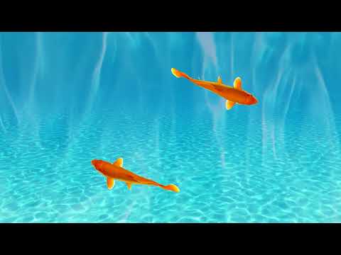 Видео: बिल्ली डांस . मांजरींसाठी खेळ Игра для кошек, котов и котят! CAT GAMES - Catching Mice! बिल्ली डांस